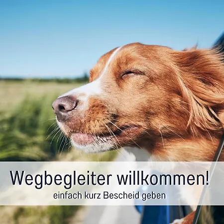 Lichtdurchflutete Moderne Stadtwohnung, Küche, Waschtrockner, Smarttv Apartamento *