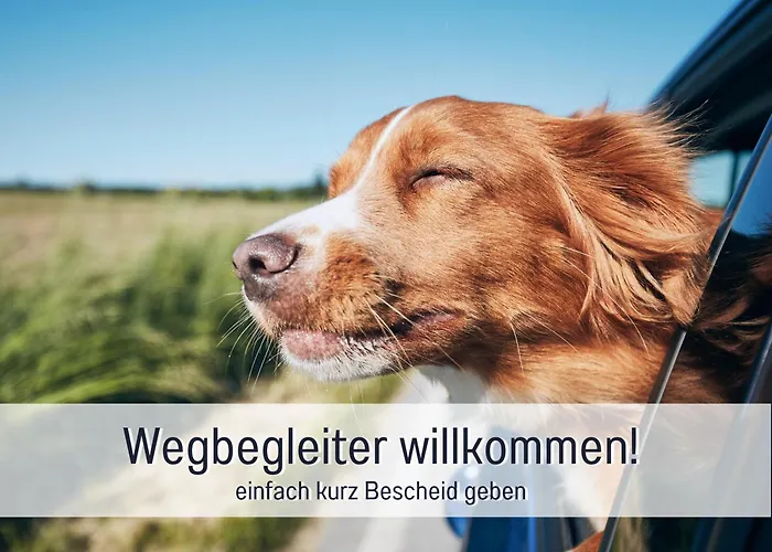 Lichtdurchflutete Moderne Stadtwohnung, Kueche, Waschtrockner, Smarttv Apartman *